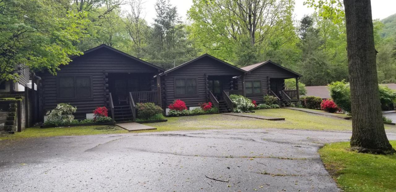 Tanglewood Motel And Log Cabinsマギー・バレー エクステリア 写真