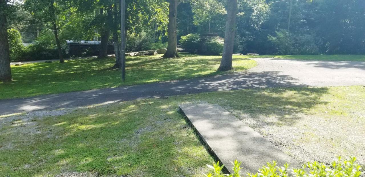 Tanglewood Motel And Log Cabinsマギー・バレー エクステリア 写真