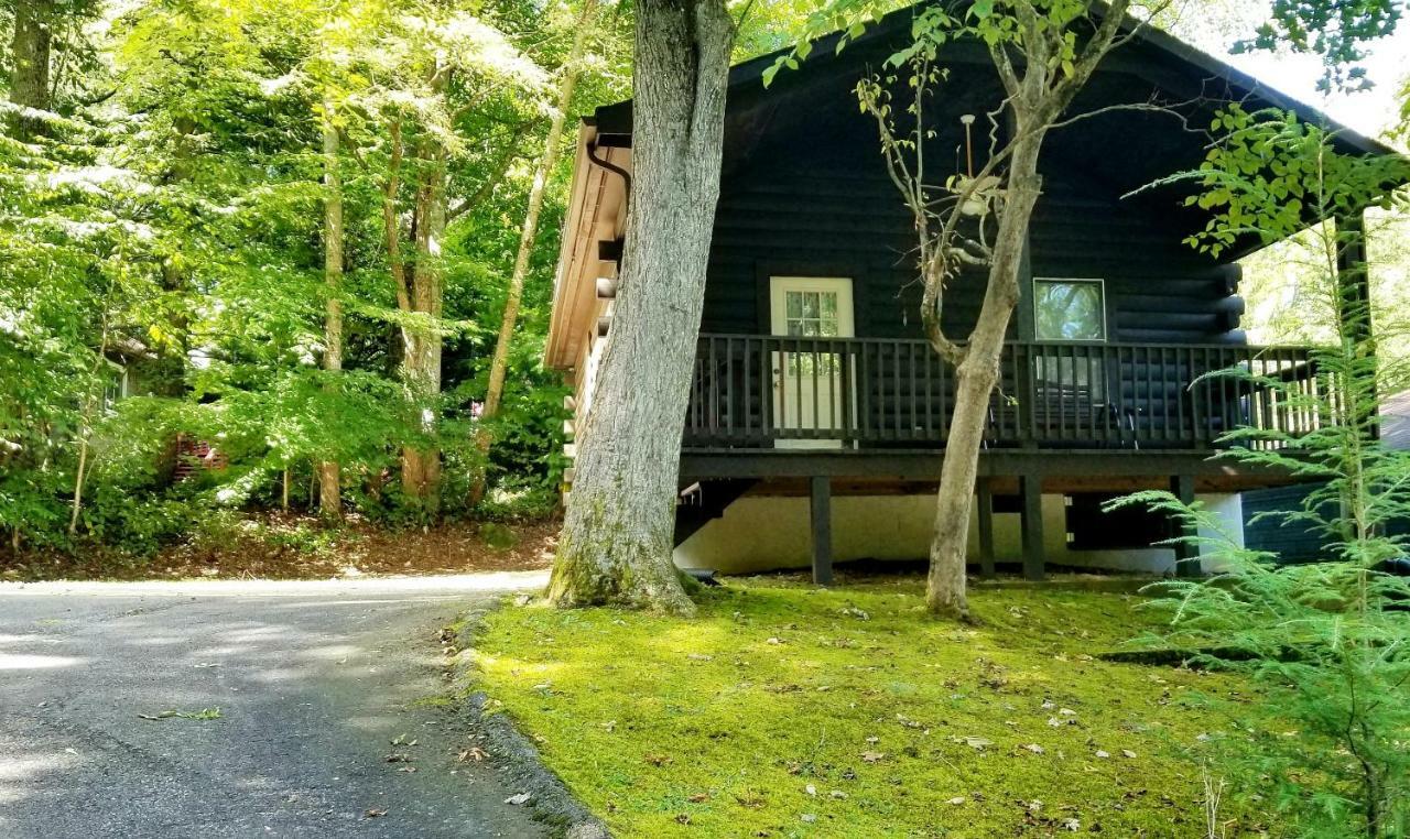 Tanglewood Motel And Log Cabinsマギー・バレー エクステリア 写真